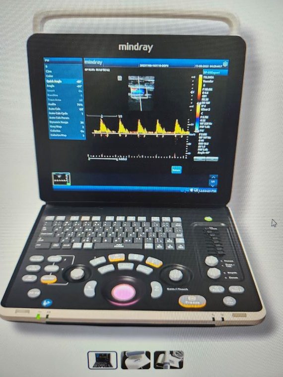 dp 50 expert